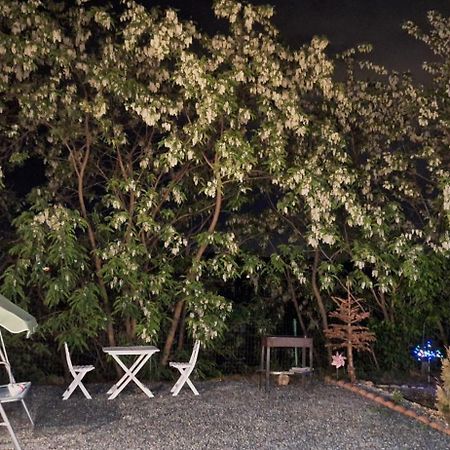 Cabana Oprisor Vízakna Kültér fotó