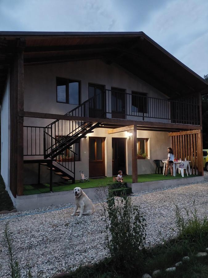 Cabana Oprisor Vízakna Kültér fotó